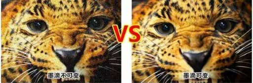 对比图